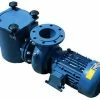 Certikin BP Commercial Swimming Pool Pump -Bestway Shop BP pump a 56315.1478689786