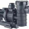 Astral Maxim Three Phase Commercial Swimming Pool Pump